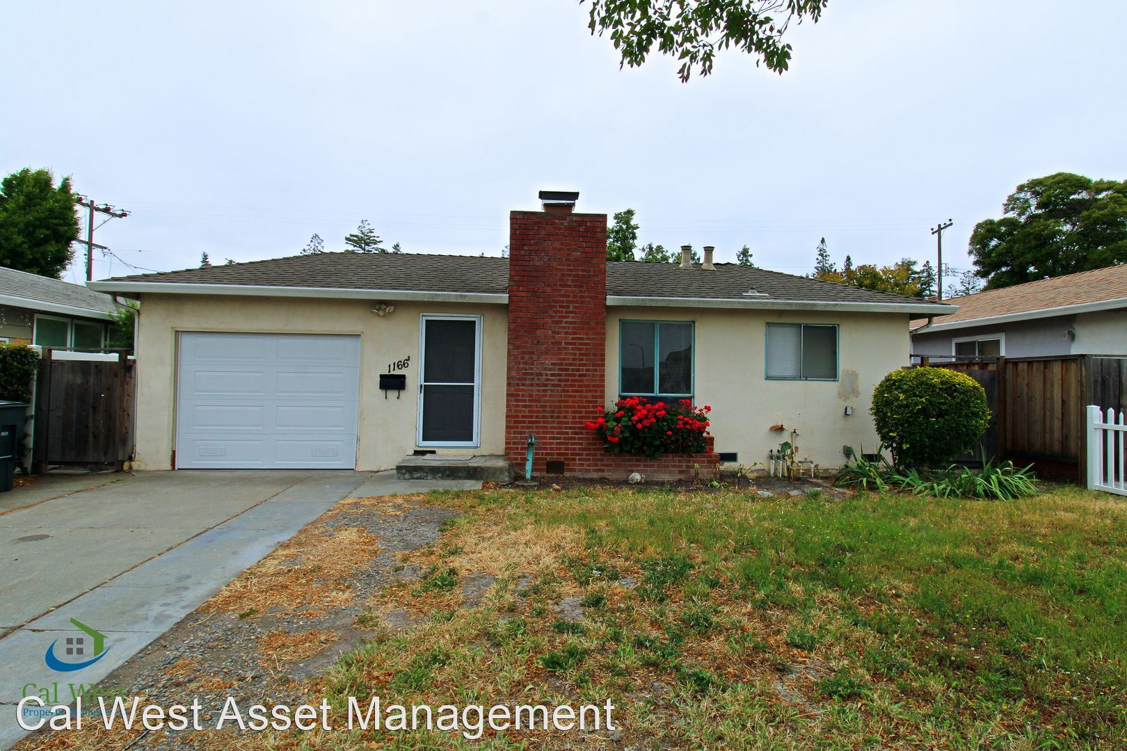 1166 Lily Av.